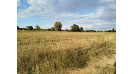 image0000011