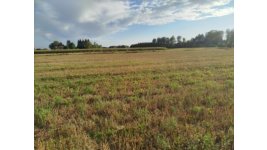 image0000061