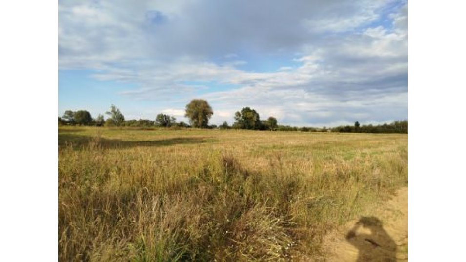 image0000031